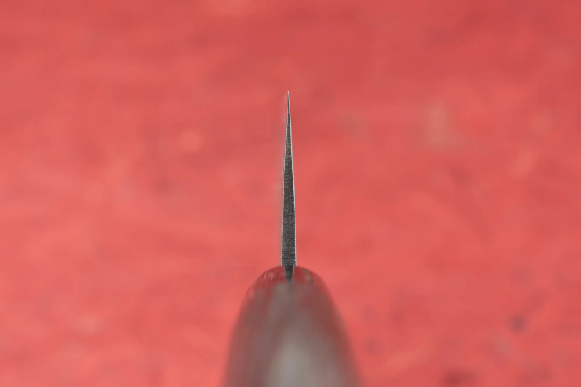 Fujimoto Nashiji Gyuto 210mm - Image 3