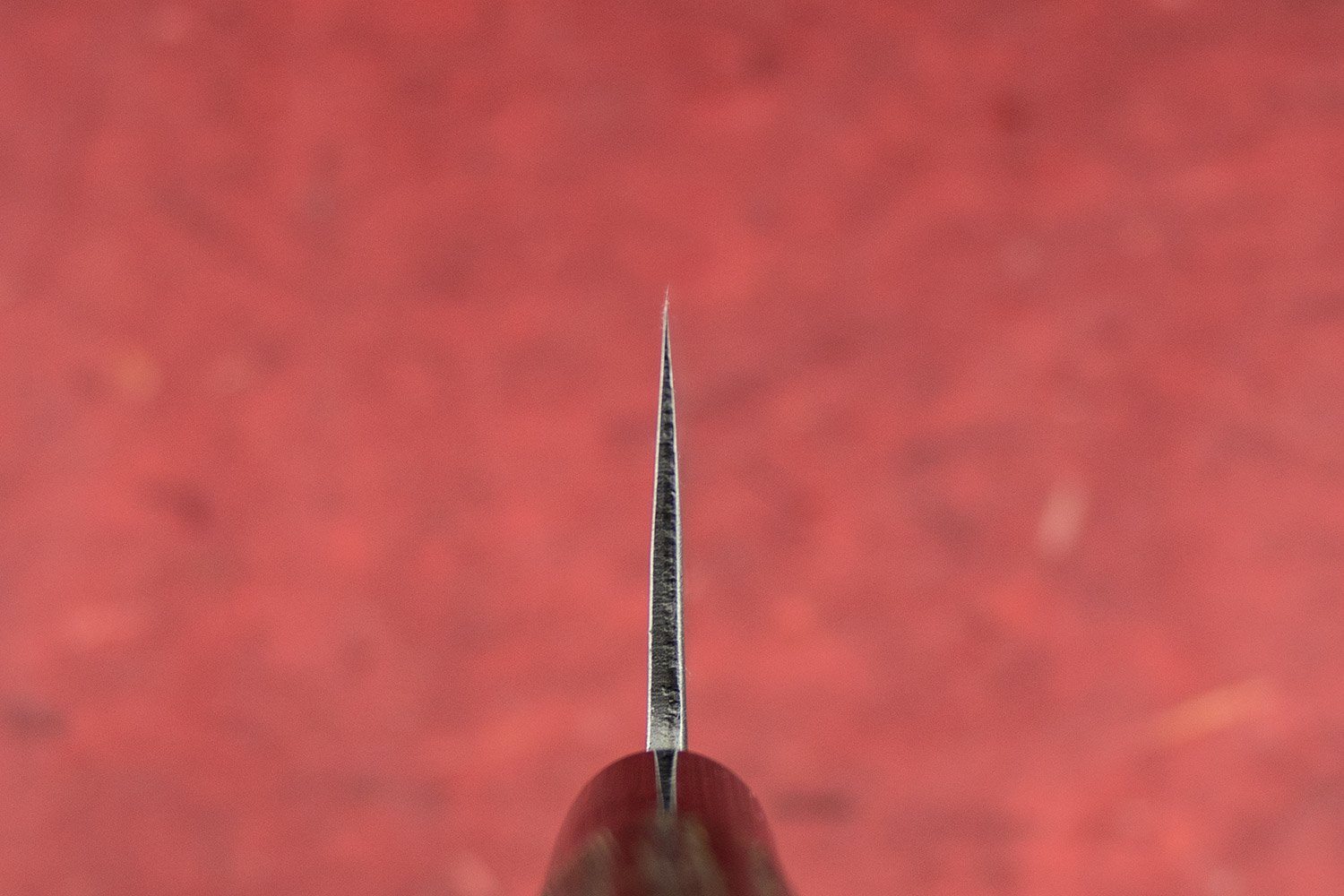 Fujimoto Nashiji Nakiri 165mm - Image 3