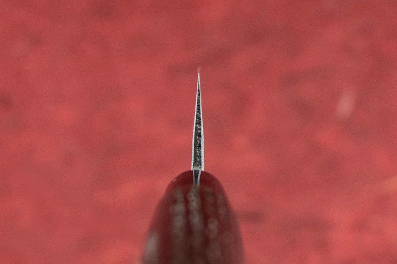 Fujimoto Nashiji Petty 135mm - Image 3