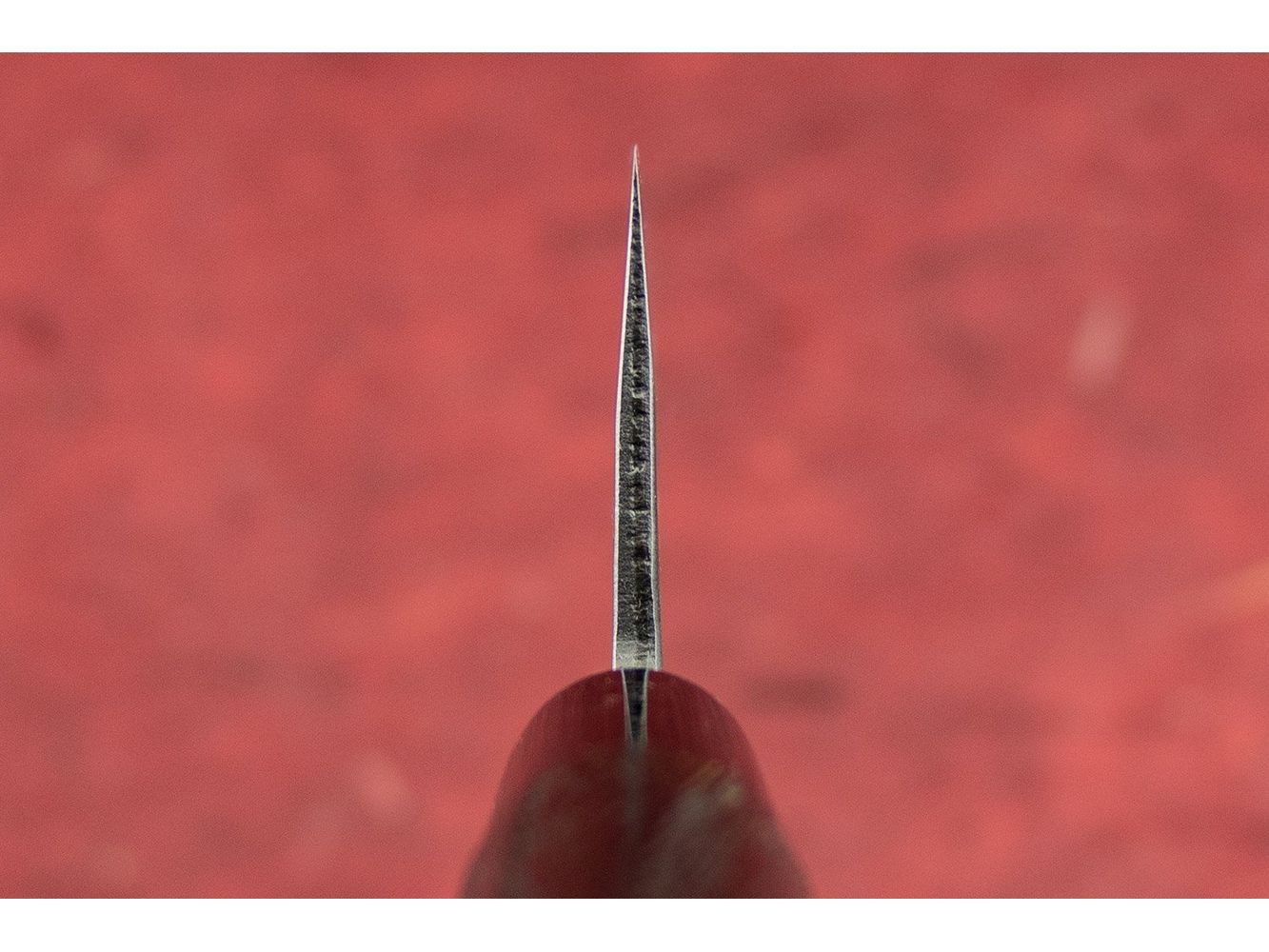 Fujimoto Nashiji Santoku 165mm - Image 3