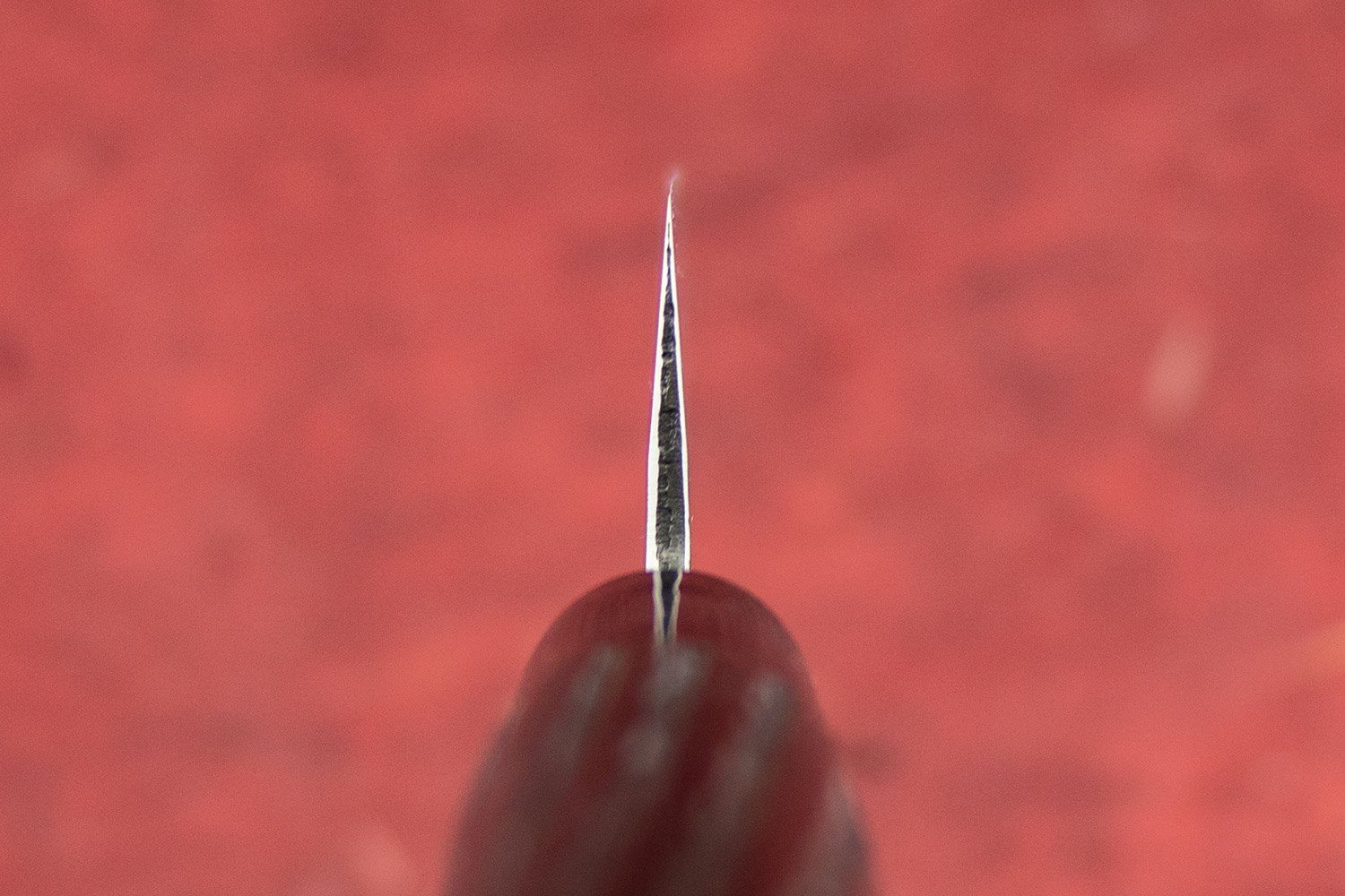 Fujimoto Nashiji Sujihiki 240mm - Image 3