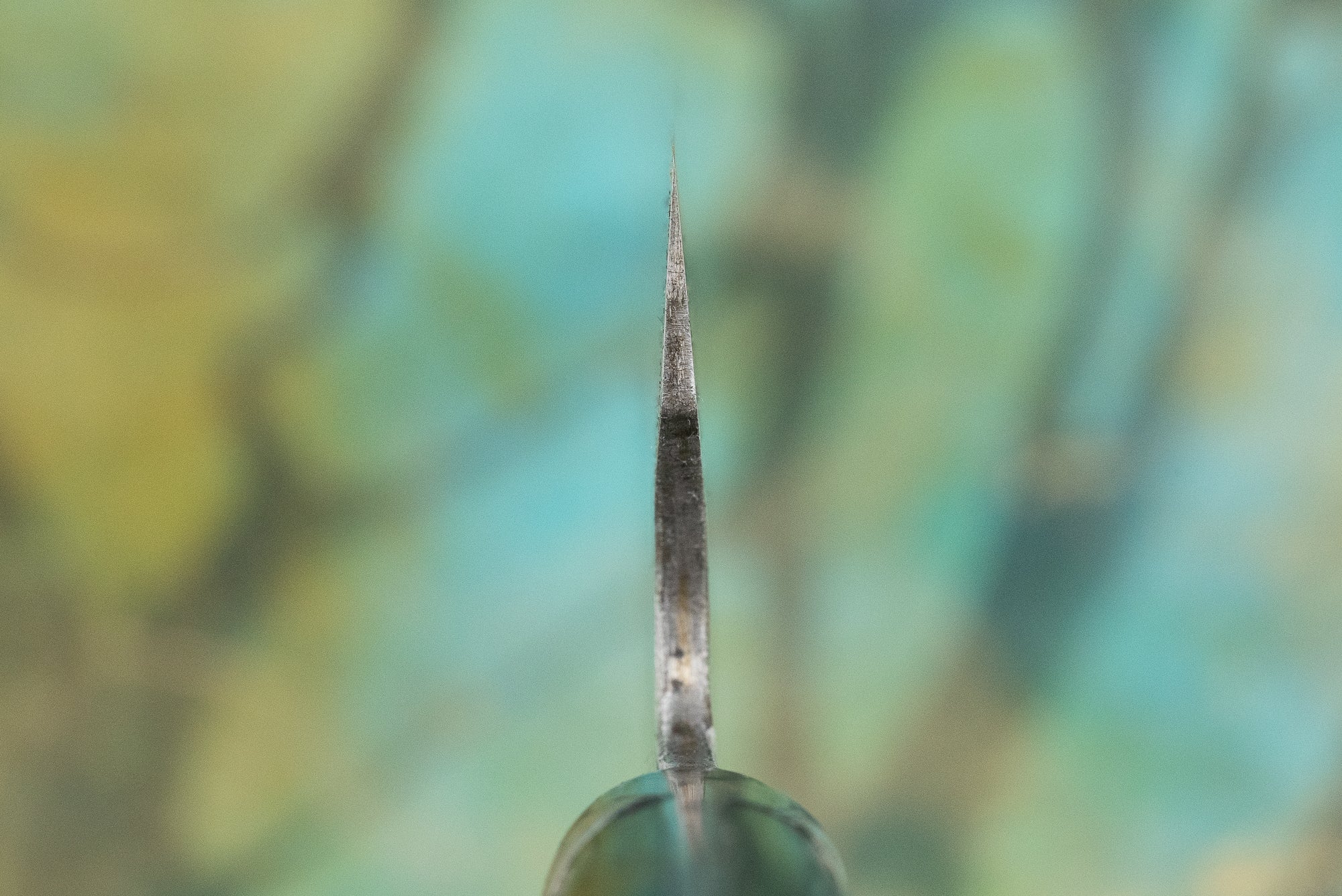 Fujiwara Western Denka Gyuto 195mm - Image 3