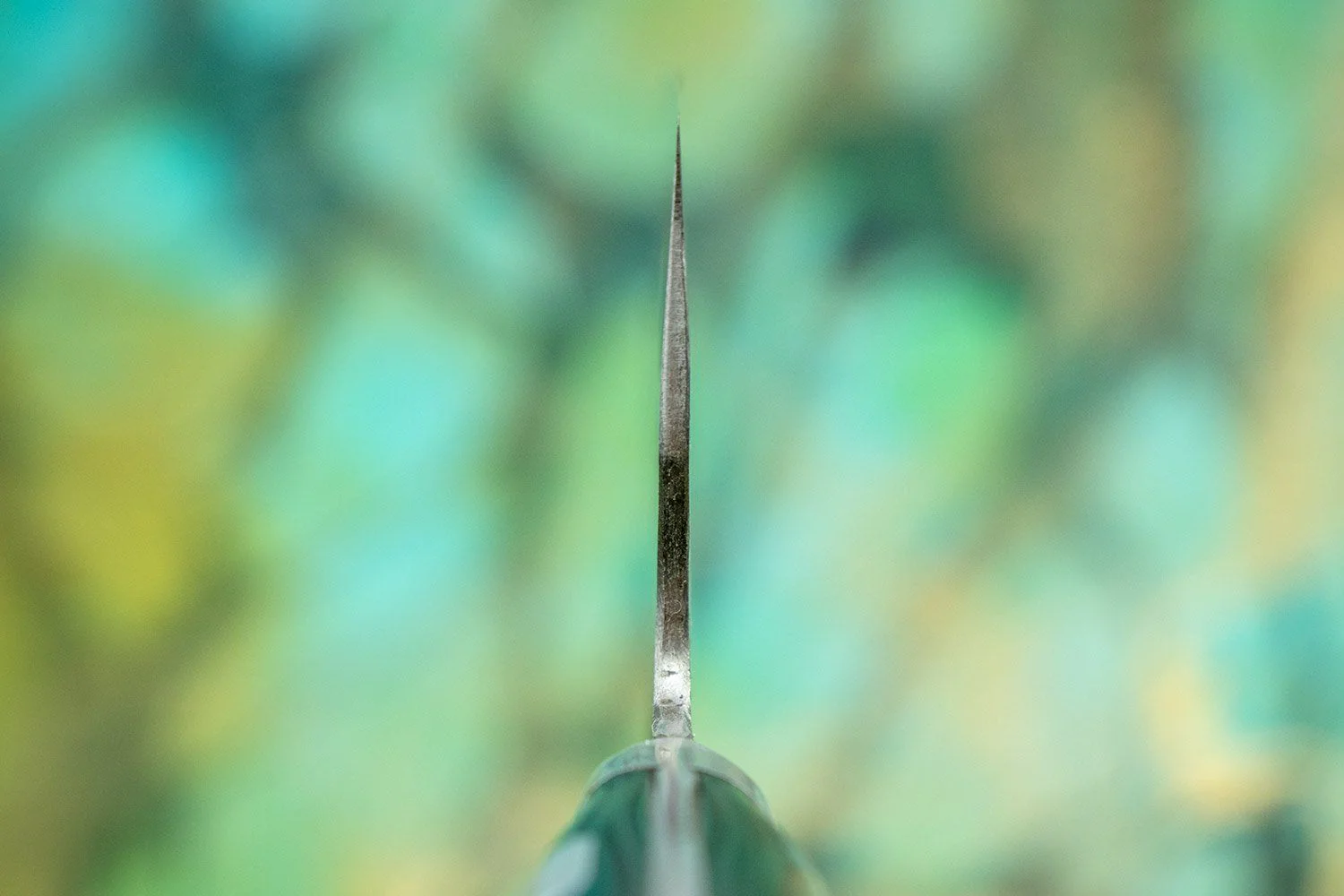 Fujiwara Western Denka Gyuto 210mm - Image 3