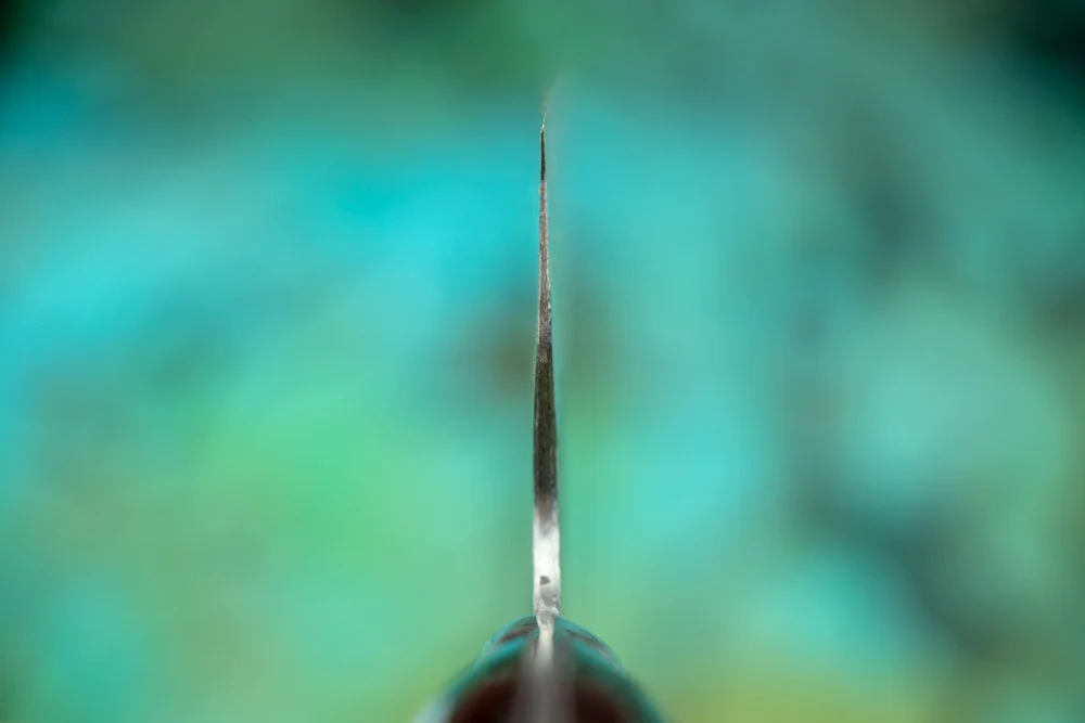 Fujiwara Western Denka Gyuto 240mm - Image 3