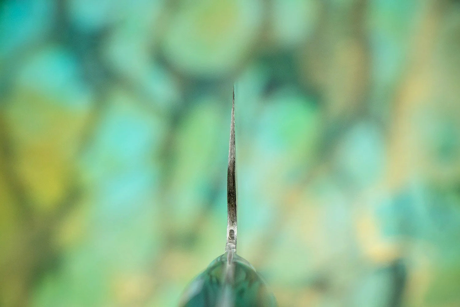 Fujiwara Western Denka Santoku 165mm - Image 3