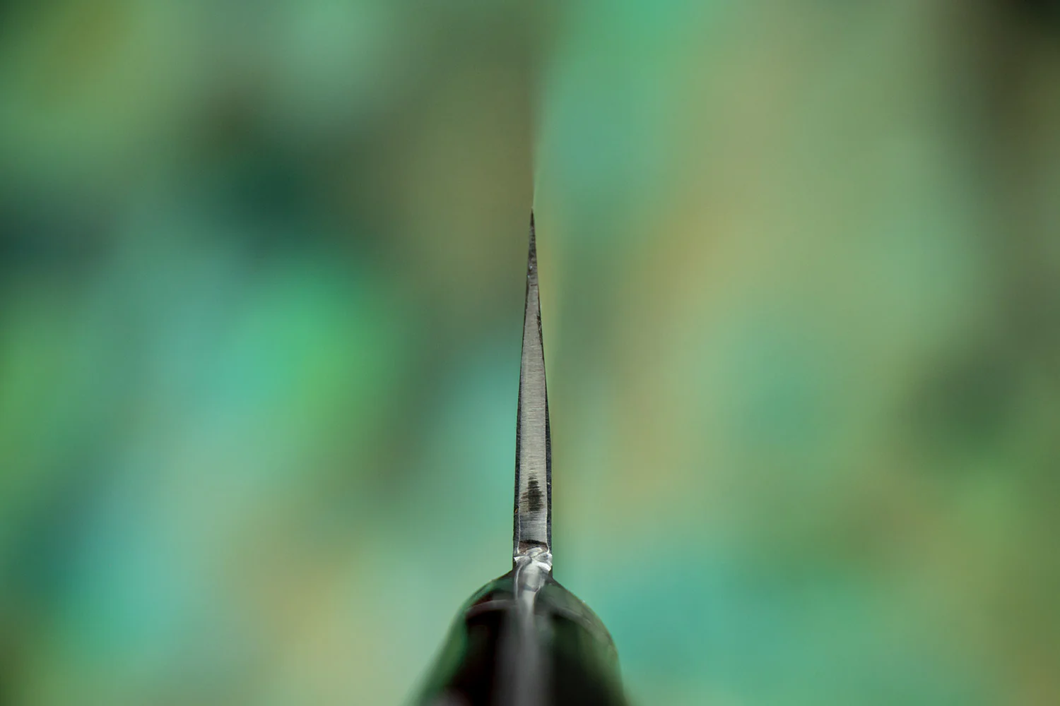 Fujiwara Western Denka Sujihiki 240mm - Image 3