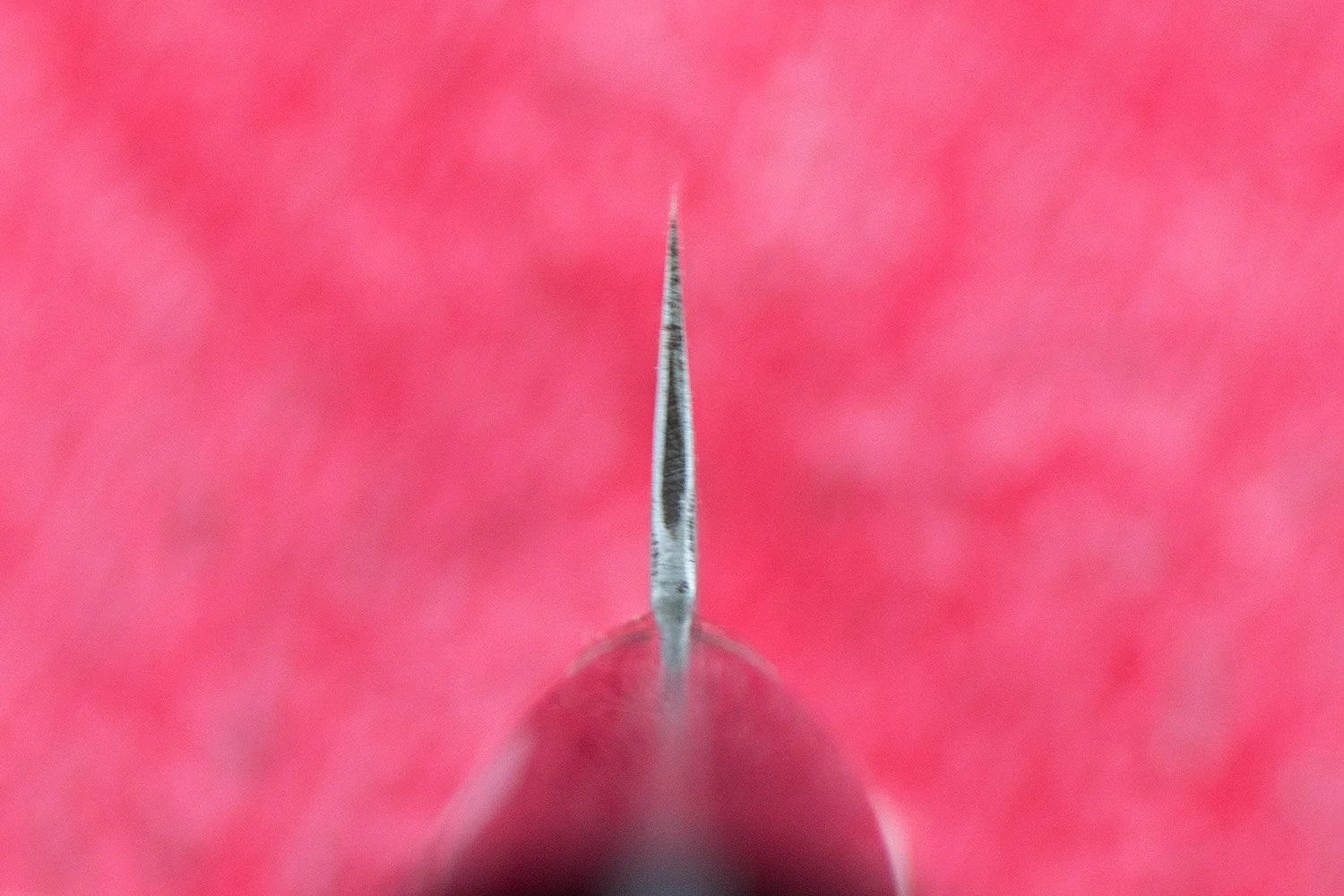 Fujiwara Maboroshi Sujihiki 240mm - Image 3