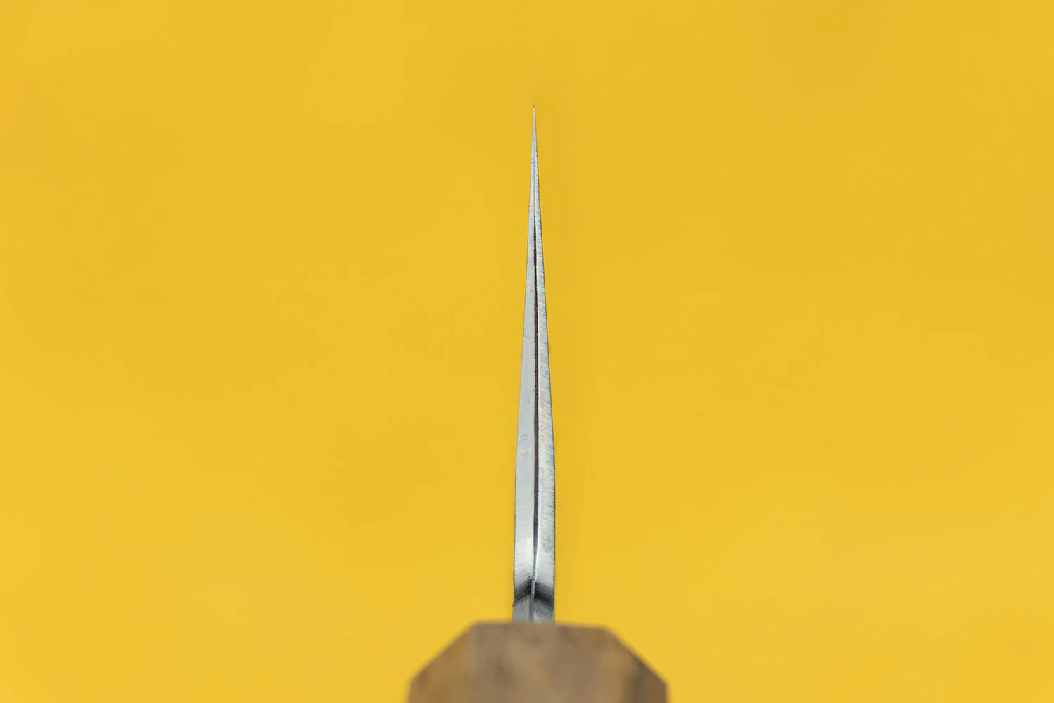 Hado Sakai Sumi Bunka 180mm - Image 3