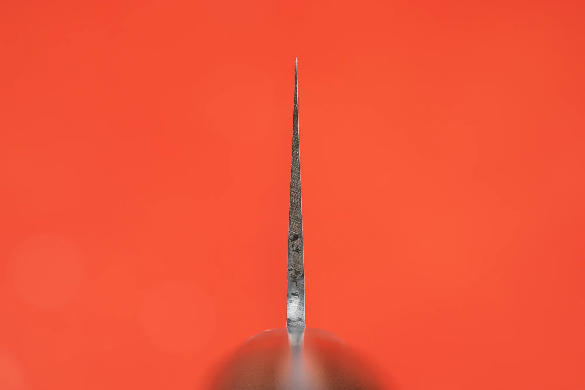 Haruyuki Goma Gyuto 210mm - Image 3