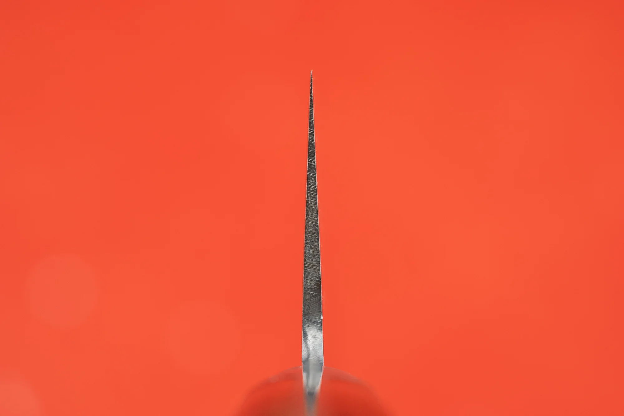 Haruyuki Goma Gyuto 240mm - Image 3