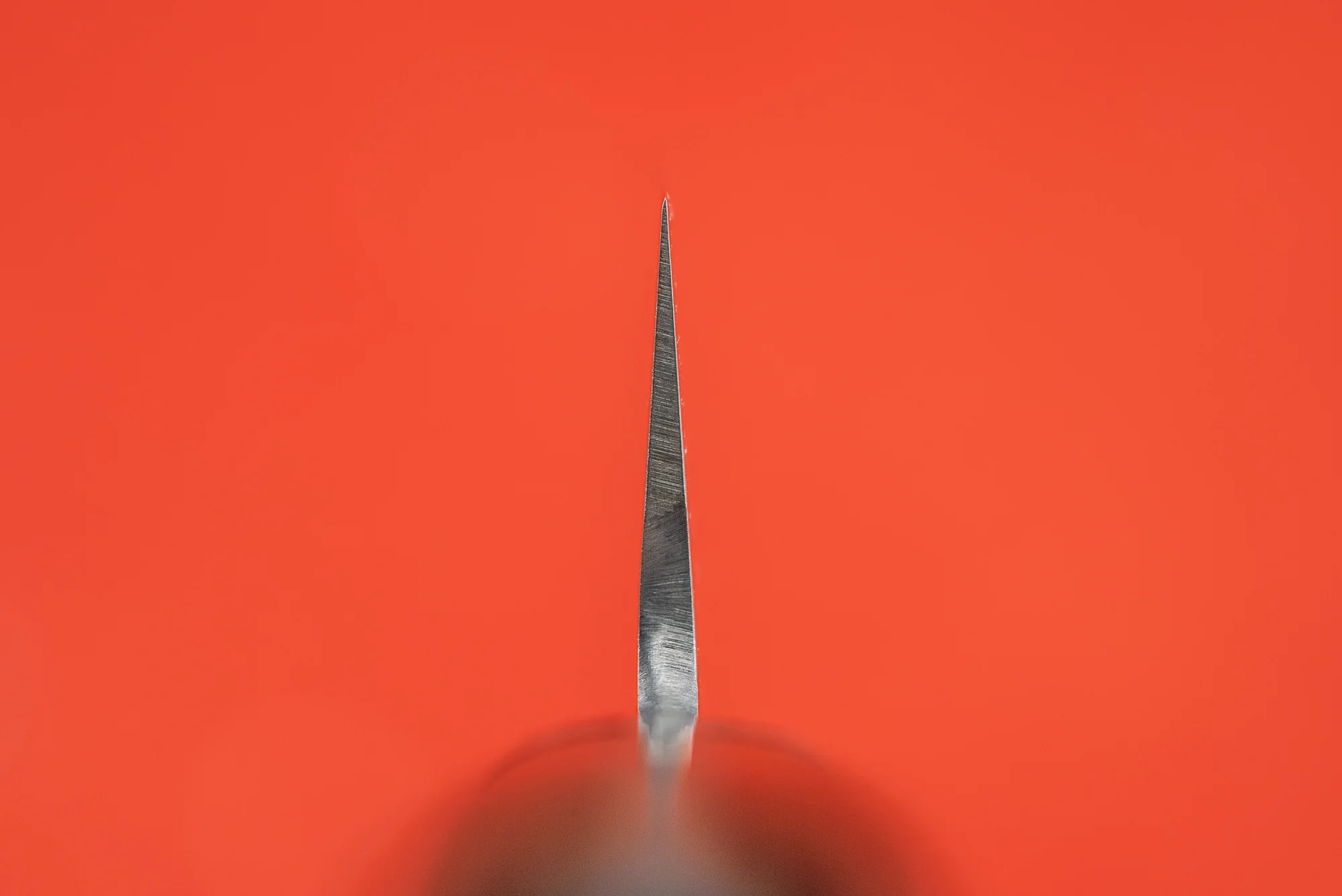 Haruyuki Goma Sujihiki 240mm - Image 3