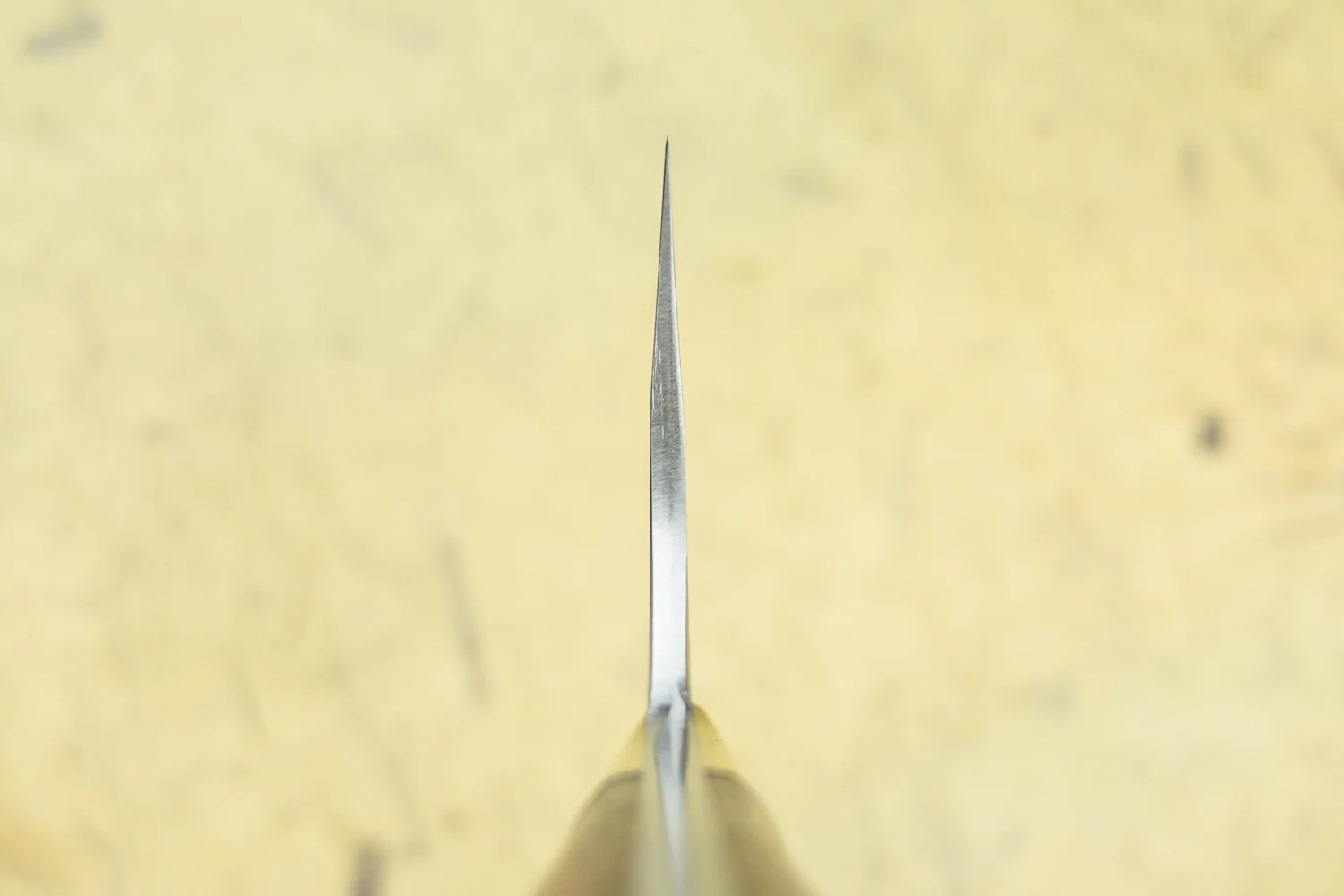 Masakage Zero Gyuto 240mm - Image 3