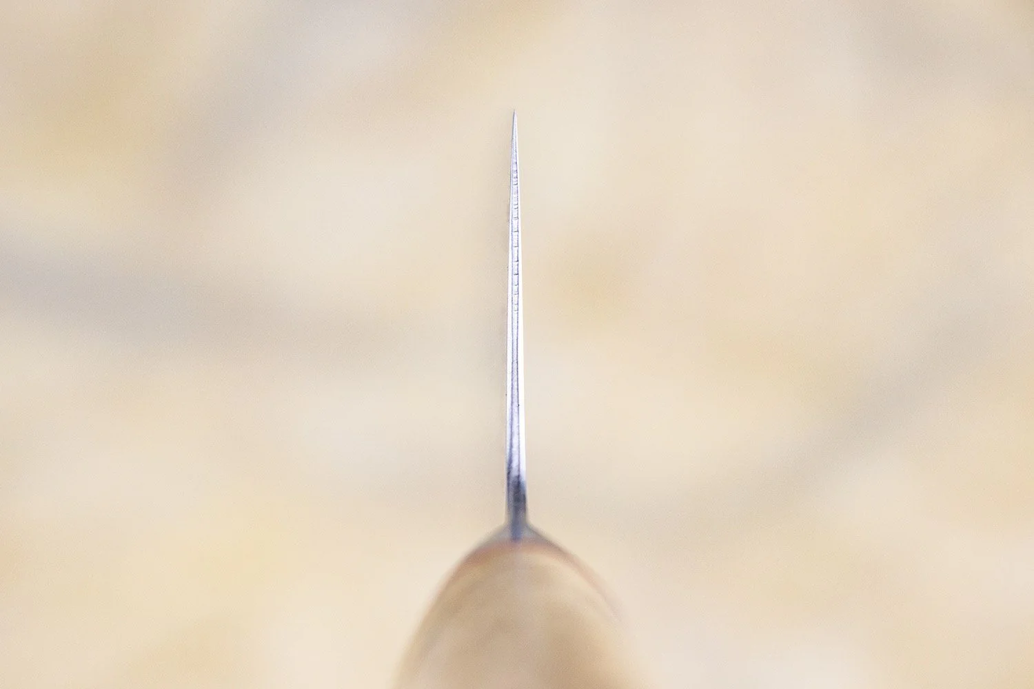 Miyabi SG2 Birchwood Bunka 180mm - Image 3