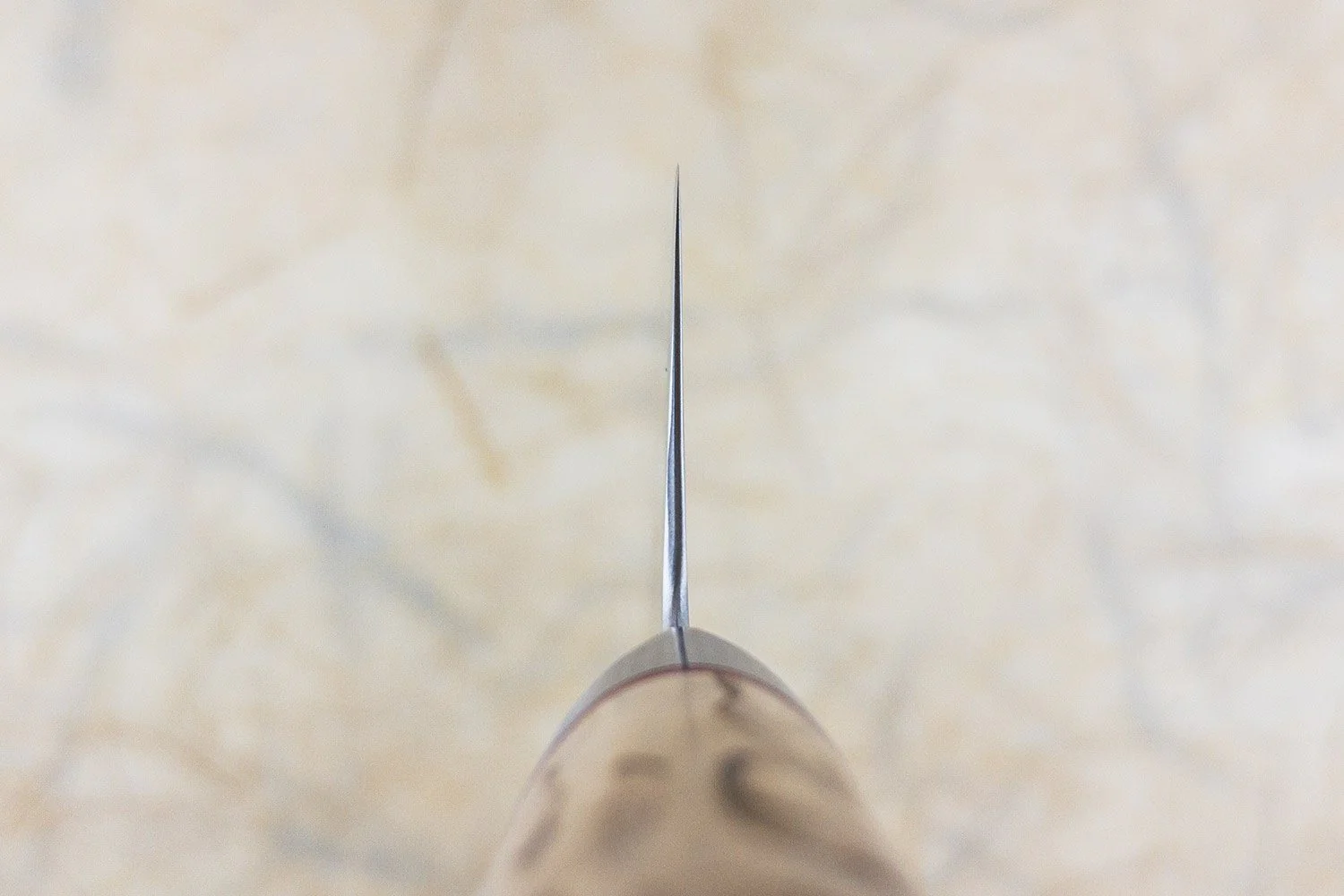 Miyabi SG2 Birchwood Gyuto 200mm - Image 3