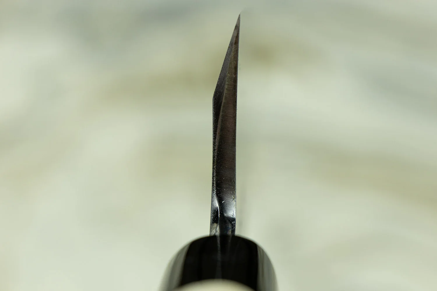 Sakai Takayuki Tokujo Shirogami Garasuki 180mm - Image 4