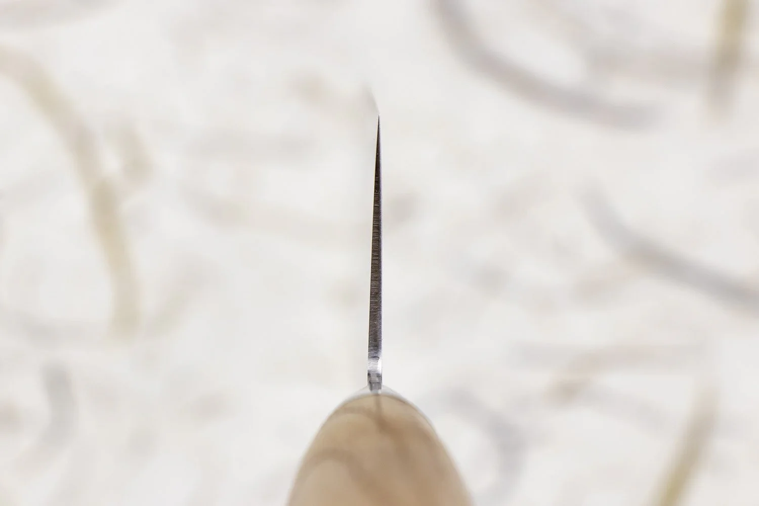 Tadafusa Hocho Kobo HK-4 Gyuto 210mm - Image 3