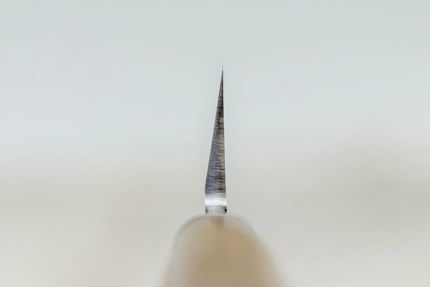 Tadafusa Hocho Kobo HK-7 Yanagiba 210mm - Image 4