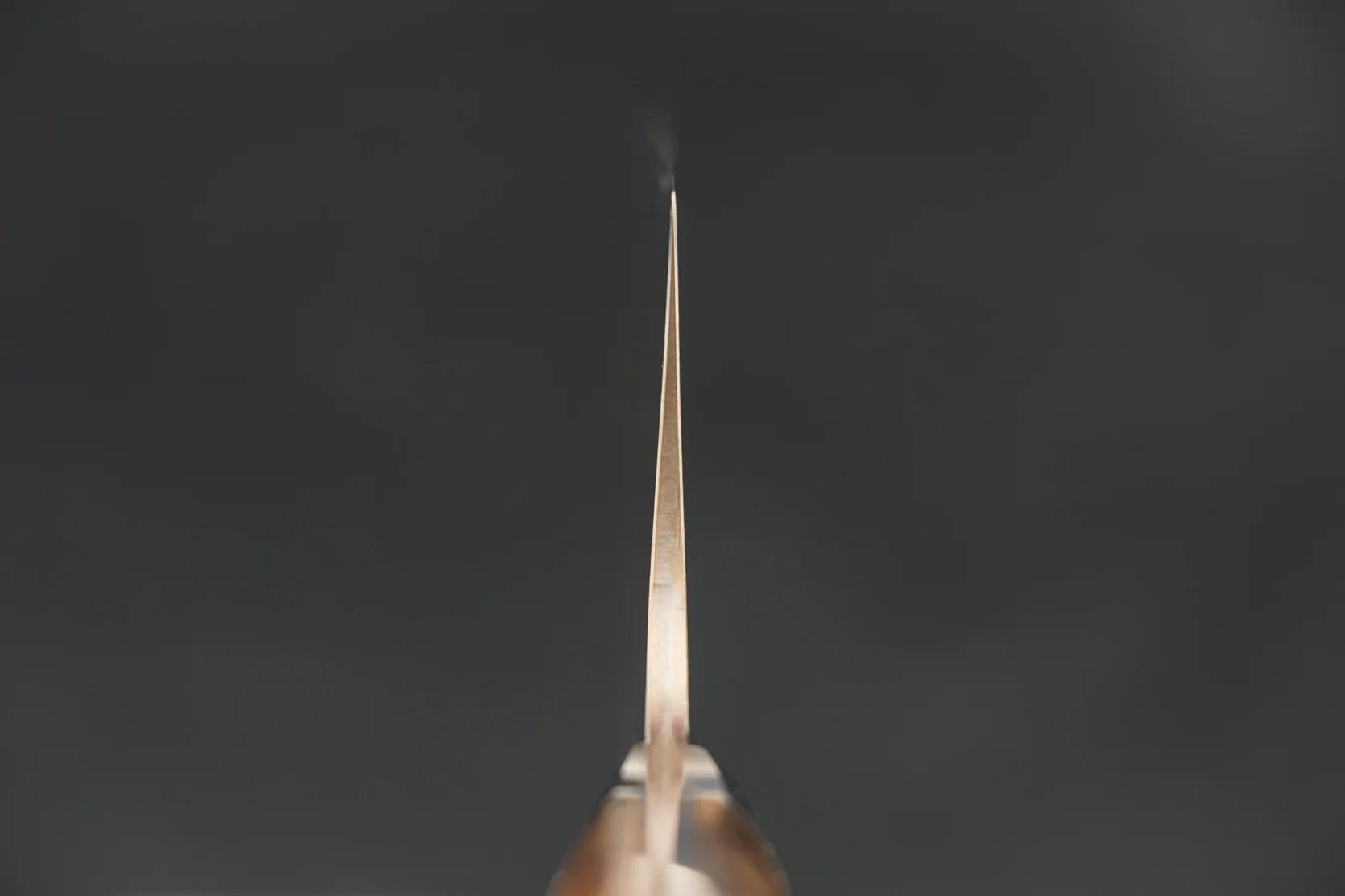 Takeshi Saji VG10W Rainbow Damascus Western Bunka 180mm - Image 5